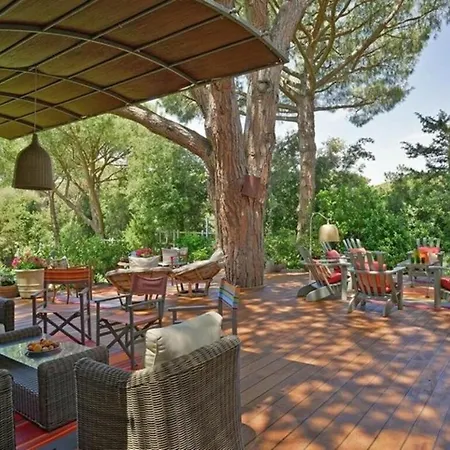 Villa Front Bibbona