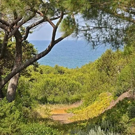 Front Bibbona Villa Marina Di Bibbona